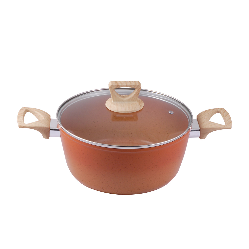 TnS nonstick pot degrade handles + glass lid 24x10 cm