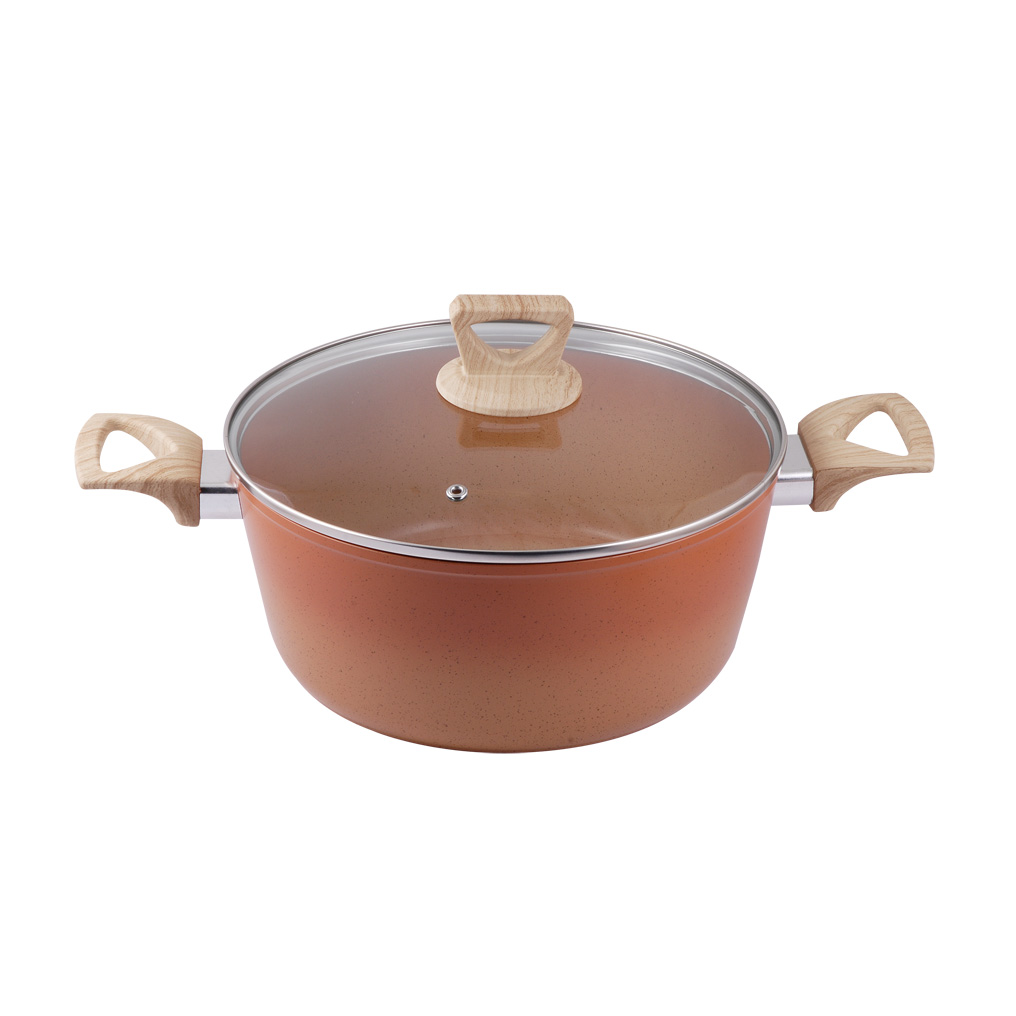 TnS nonstick pot degrade handles + glass lid 26x11 cm