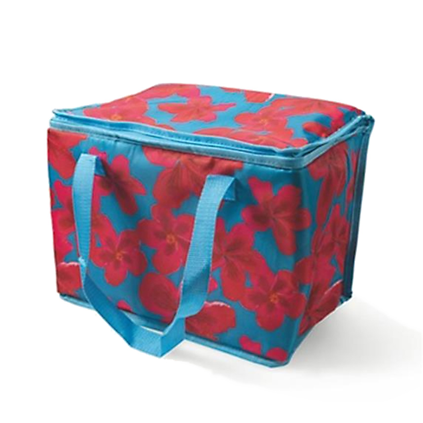 Cooler bag blue / red polyester 20 lt 32x22x26 cm
