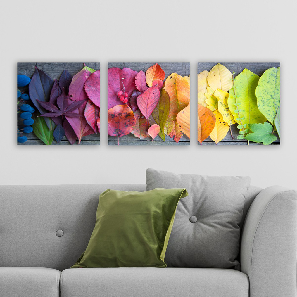 Canvas painting on frame digital printing P2253353 30x30 cm 3 pcs 564RMY1249