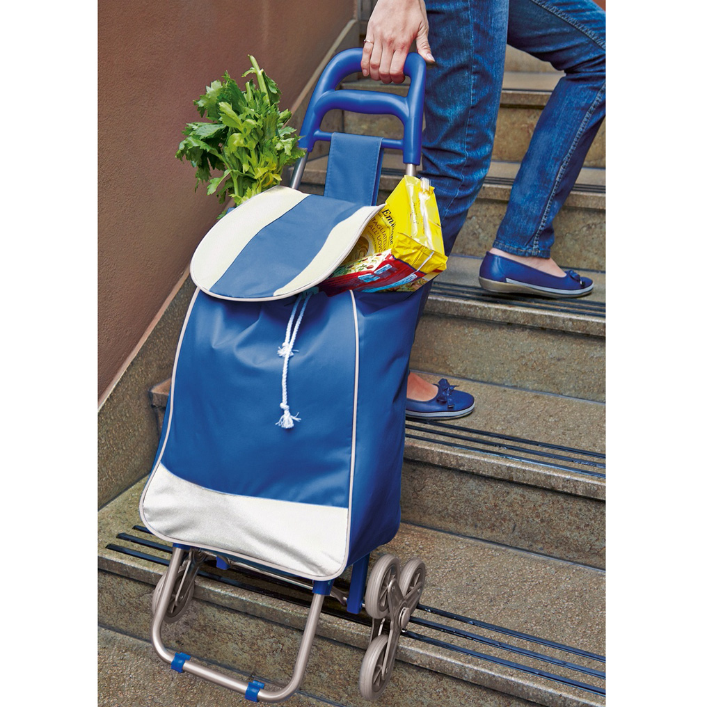Steel & plastic shopping trolley bag 33x17x50 εκ.