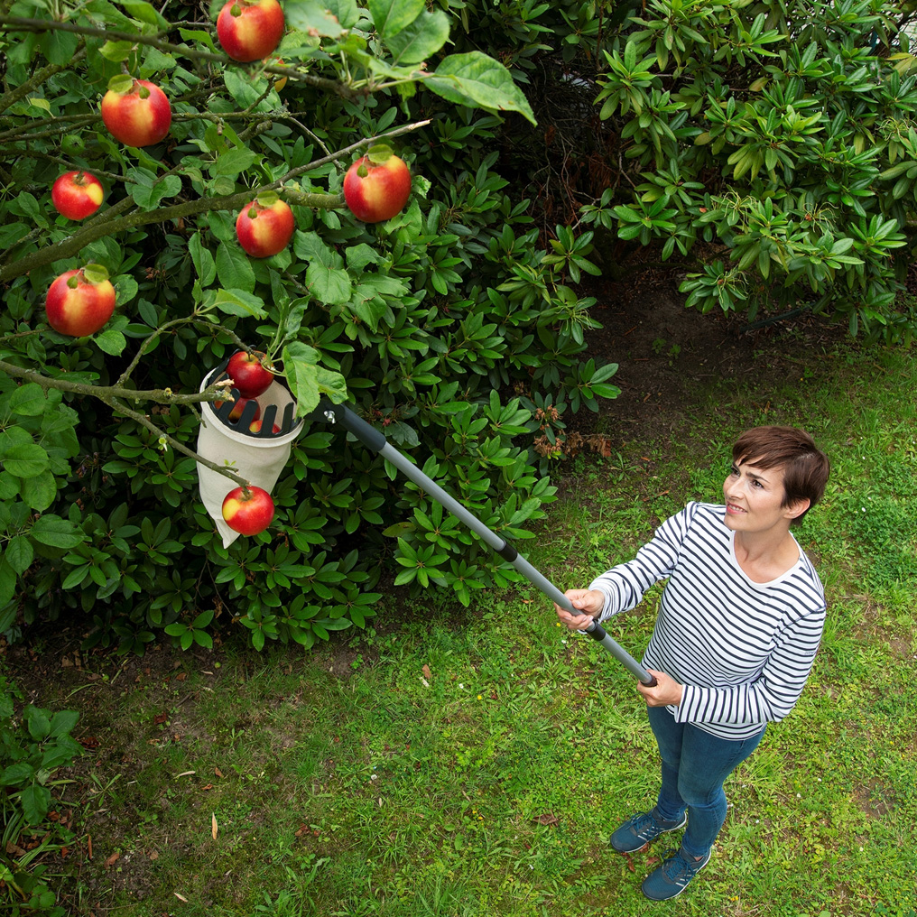 Fruit picker ΧL & telescopic handle