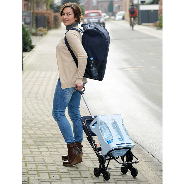 Τροχήλατο καρότσι με κάθισμα 65x36,5x103 εκ. 