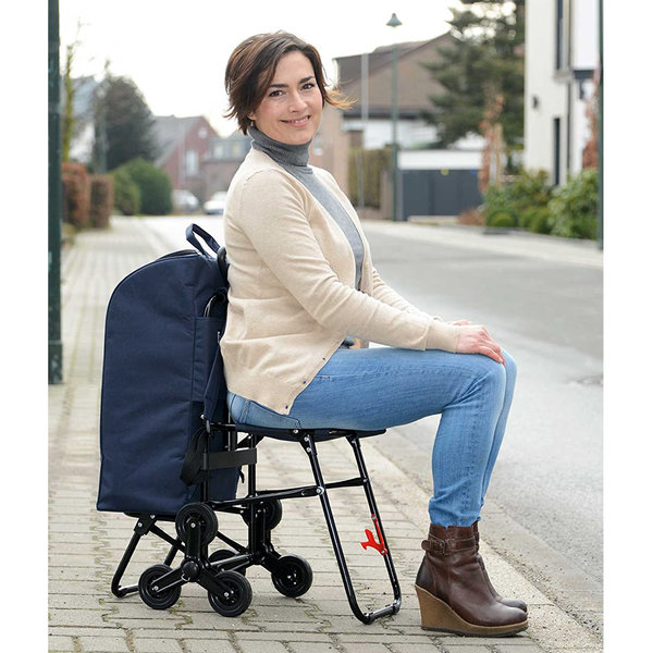 Τροχήλατο καρότσι με κάθισμα 65x36,5x103 εκ. 