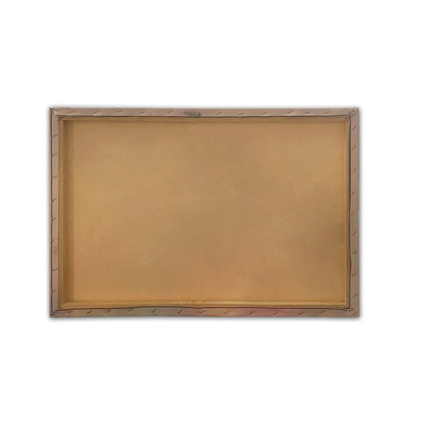 Canvas painting on frame digital printing Kanvas Tablo - 289 50x70 cm 529TCR1391 