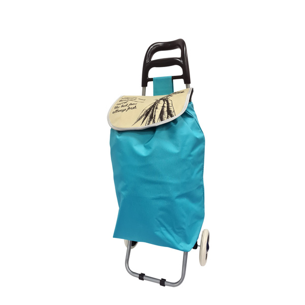 Καρότσι για ψώνια Carrot Γαλάζιο 50x20x95 εκ. 33lt TNS 09-950-0580 