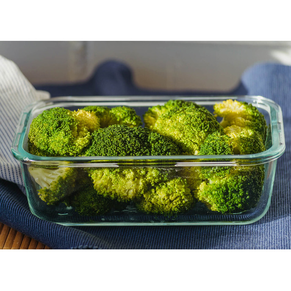 Γυάλινο πυρίμαχο σκεύος & δοχείο αποθήκευσης Bake & Go 21x16x7 εκ. 