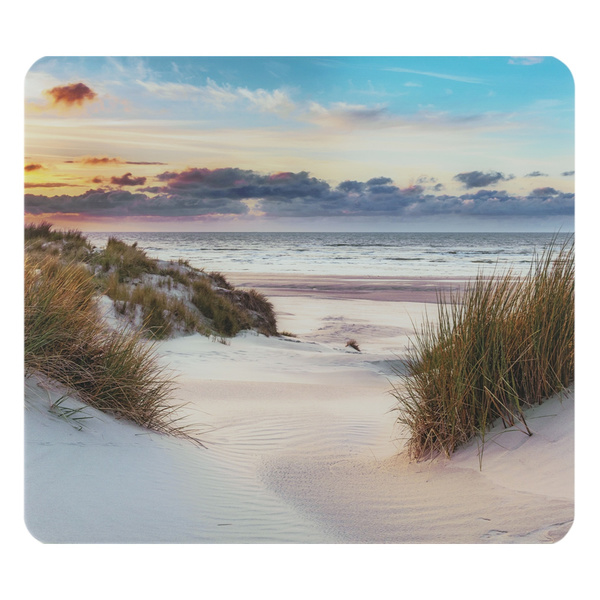 Γυάλινη επιφάνεια εργασίας 3 σε 1 Dune 56x50 εκ. 2712907500 