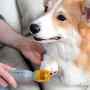 Pedi Paws (nail trimmer) Telemarketing Store