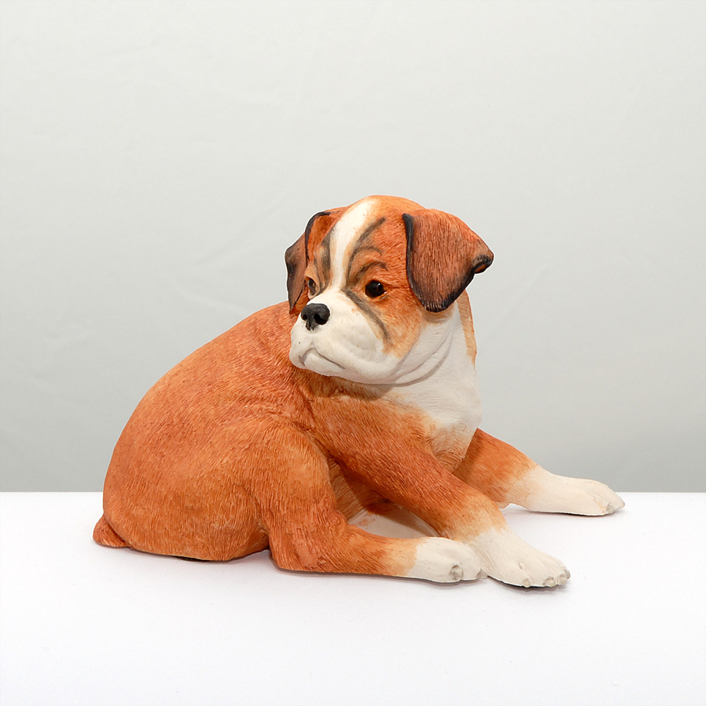 How Much Do Miniature Boxers Cost