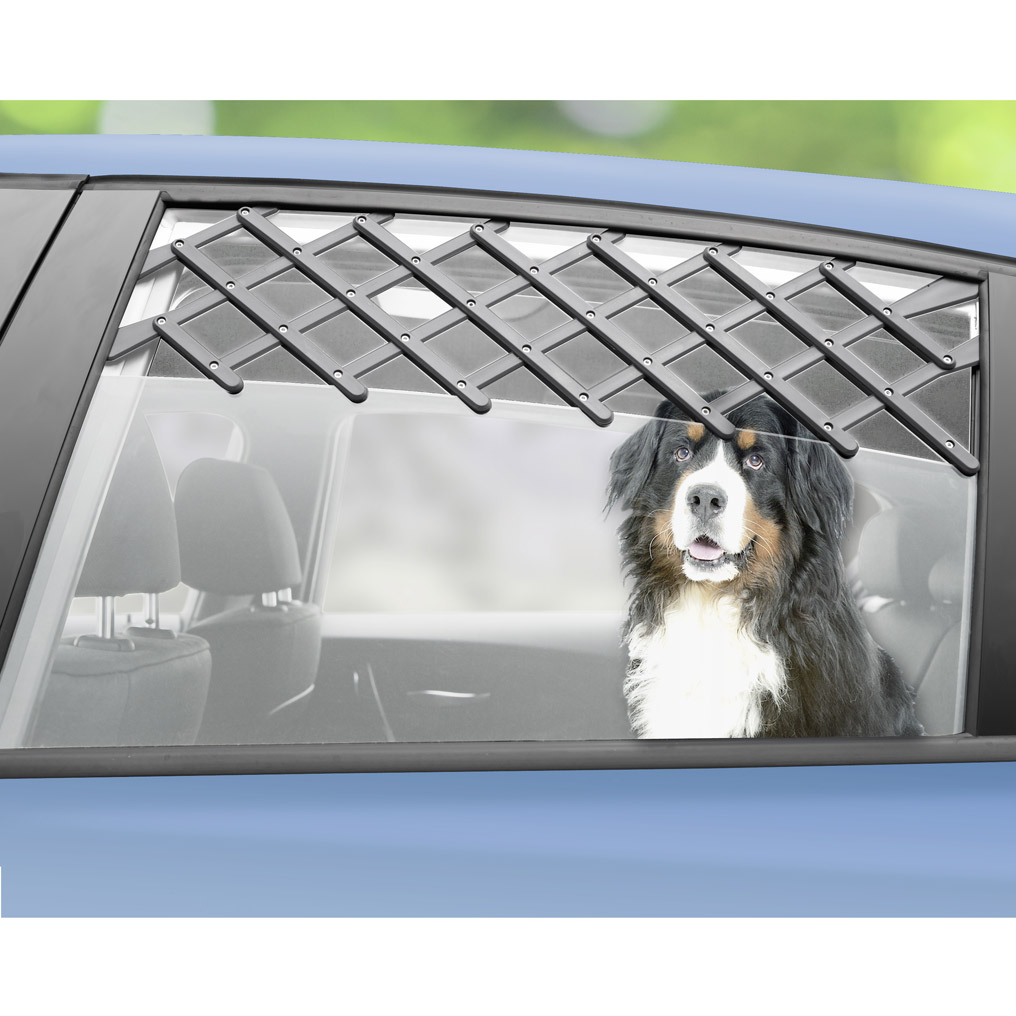 Προστατευτικό πλέγμα παράθυρου αυτοκινήτου
