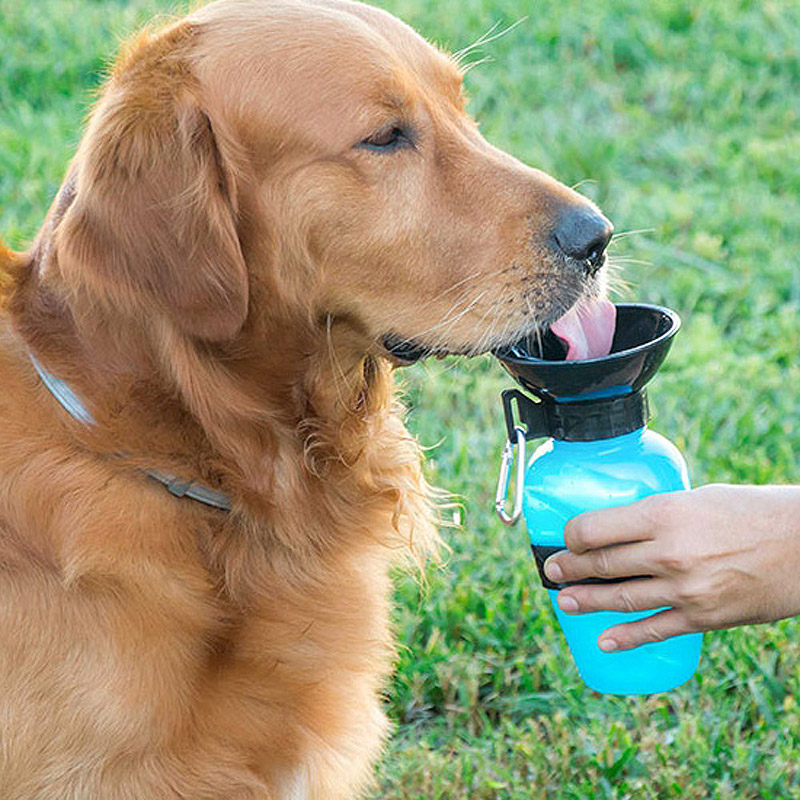 Dog water bottle - food dispenser
