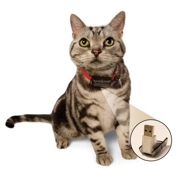 Cat collar Micro ID